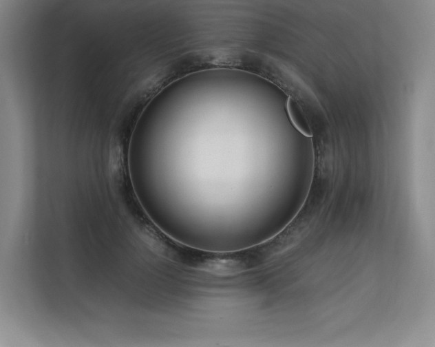 X0000111680748200907171633