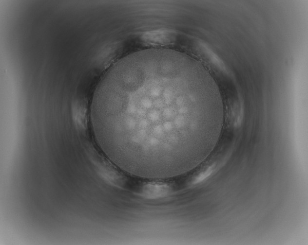 X0000111680749200907171633