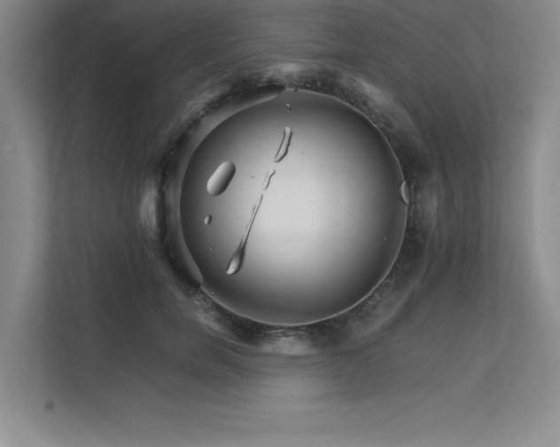 X0000111680750200907171633