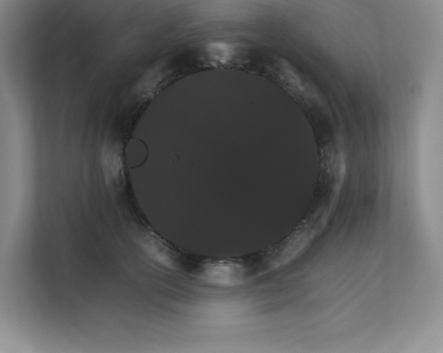 X0000111680754200907171633