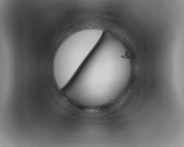 X0000111680756200907171633