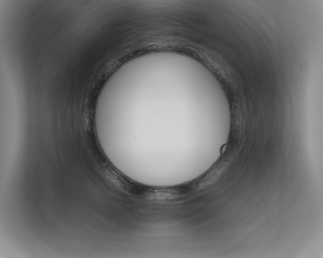 X0000111680758200907171634