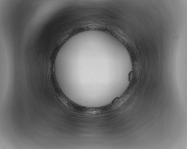 X0000111680760200907171634