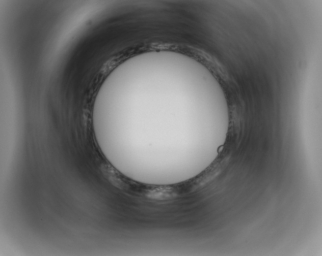 X0000111680761200907171634