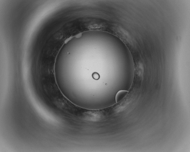 X0000111680763200907171634