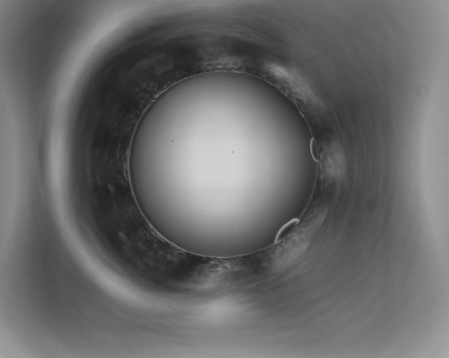 X0000111680764200907171634