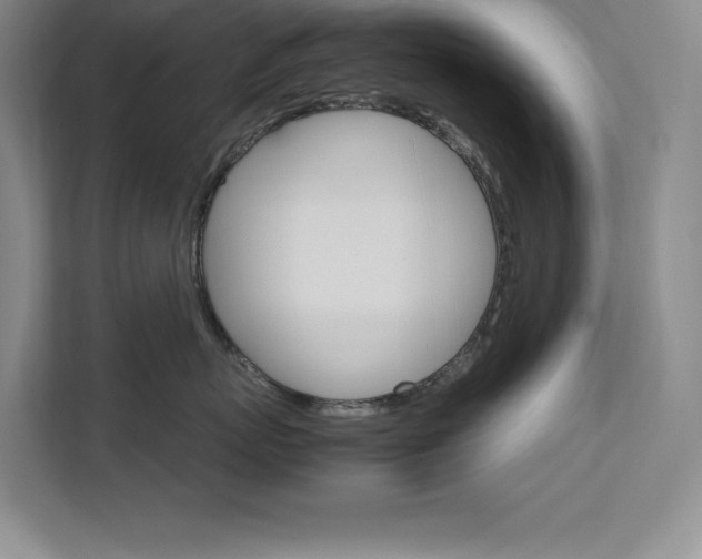 X0000111680767200907171634