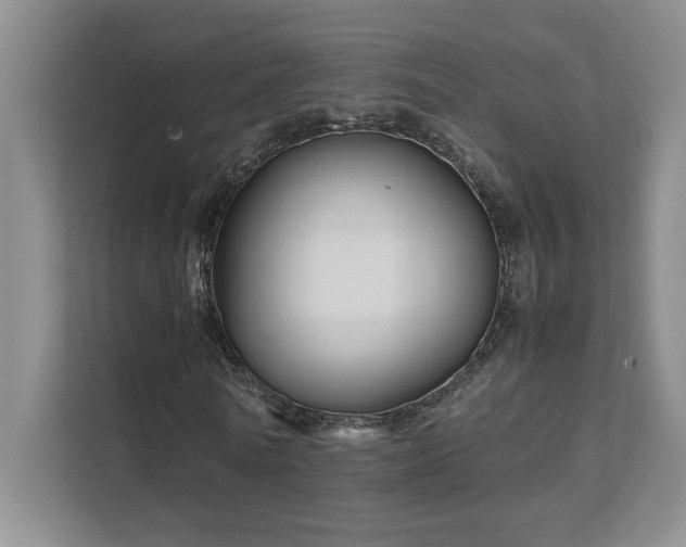 X0000111680770200907171633