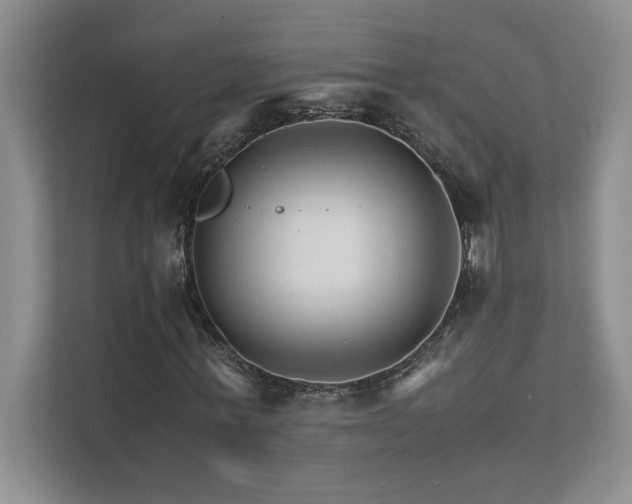 X0000111680771200907171633