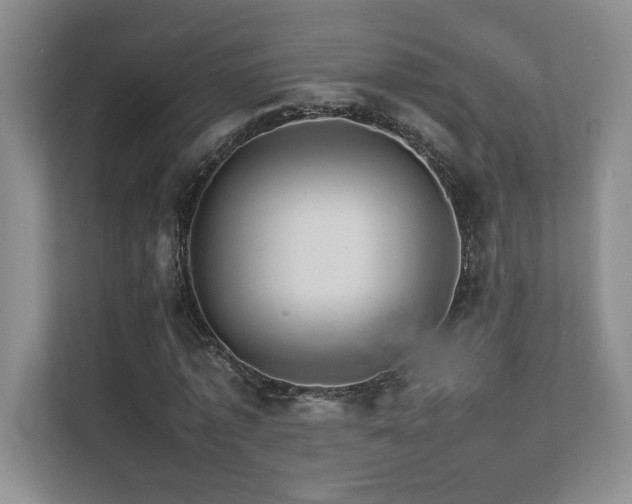 X0000111680773200907171633