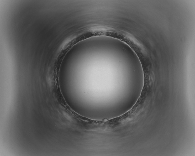 X0000111680775200907171633