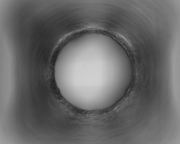 X0000111680776200907171633