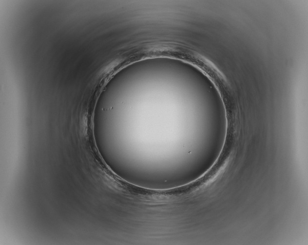 X0000111680777200907171633