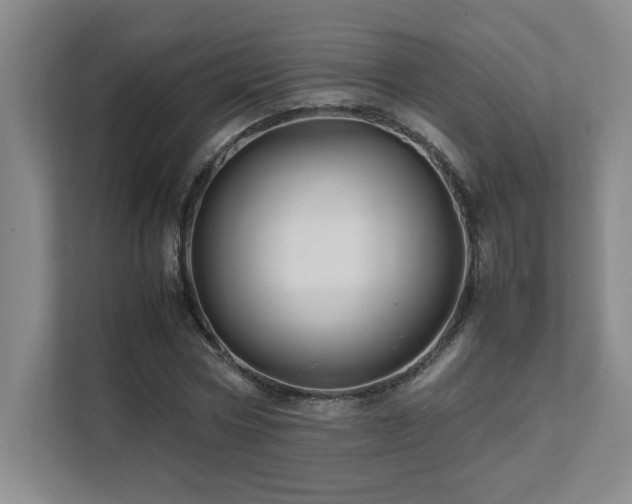 X0000111680778200907171633