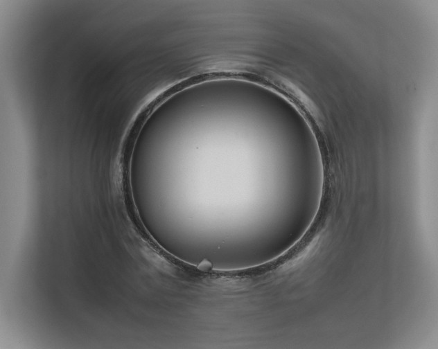 X0000111680779200907171633