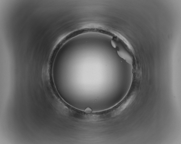 X0000111680783200907171633