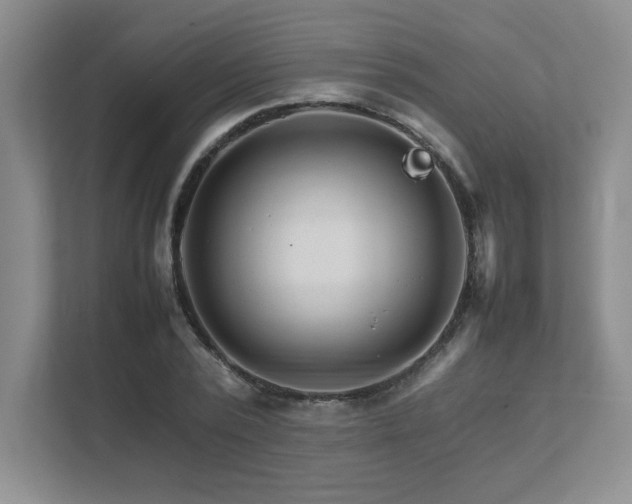 X0000111680784200907171633