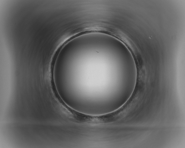 X0000111680787200907171633