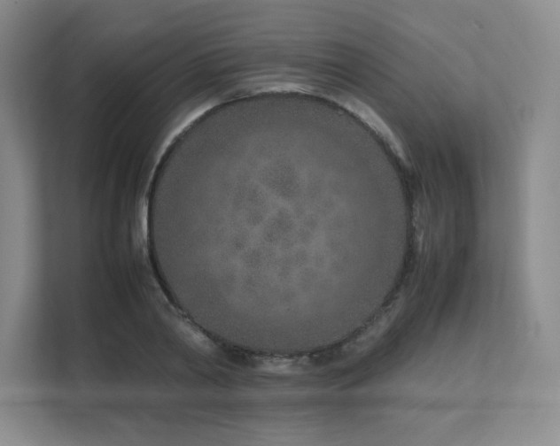 X0000111680790200907171633