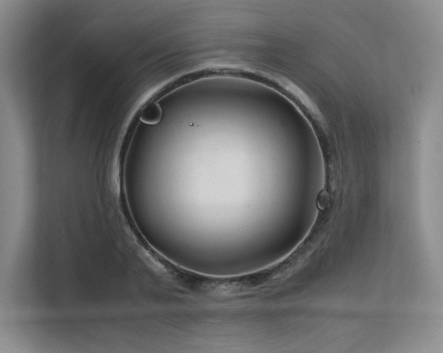 X0000111680791200907171633