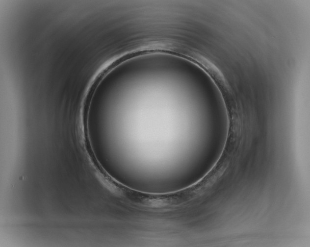 X0000111680792200907171633