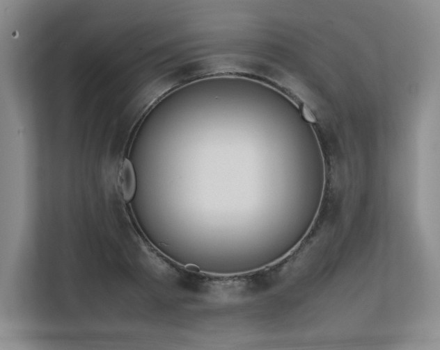 X0000111680793200907171633