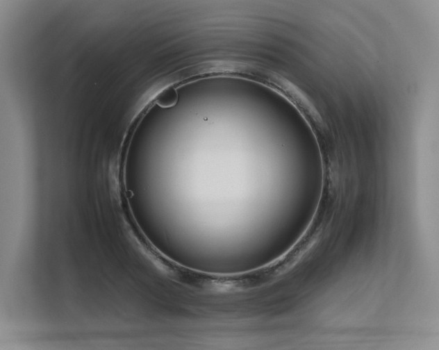 X0000111680794200907171633