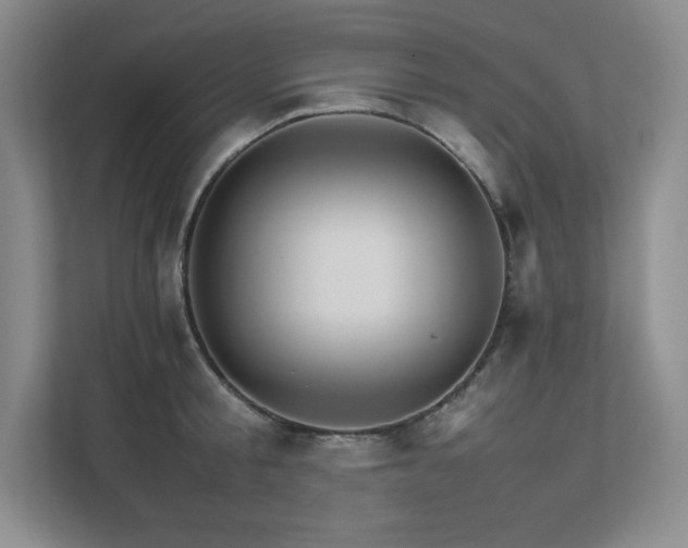 X0000111680805200907171632