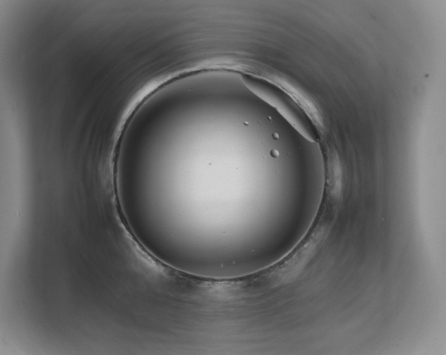 X0000111680808200907171632