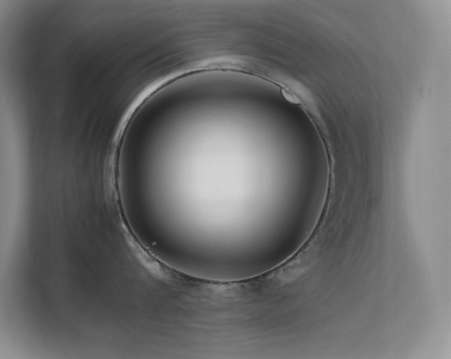 X0000111680816200907171632