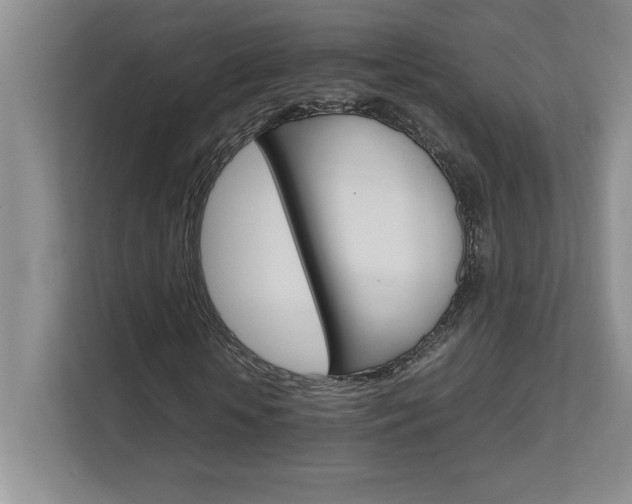 X0000111680818200907171632