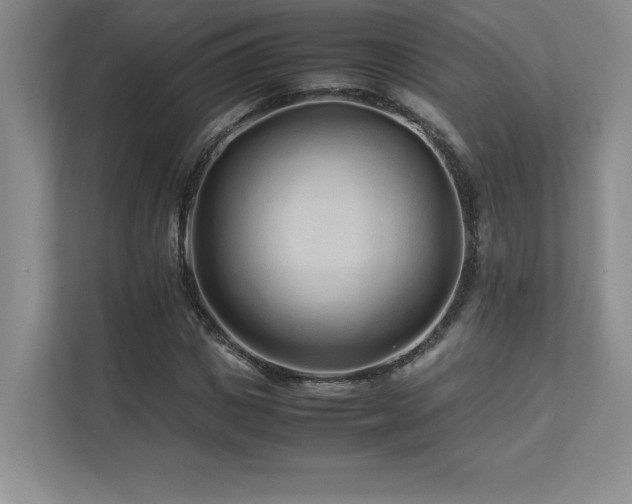 X0000111680825200907171632