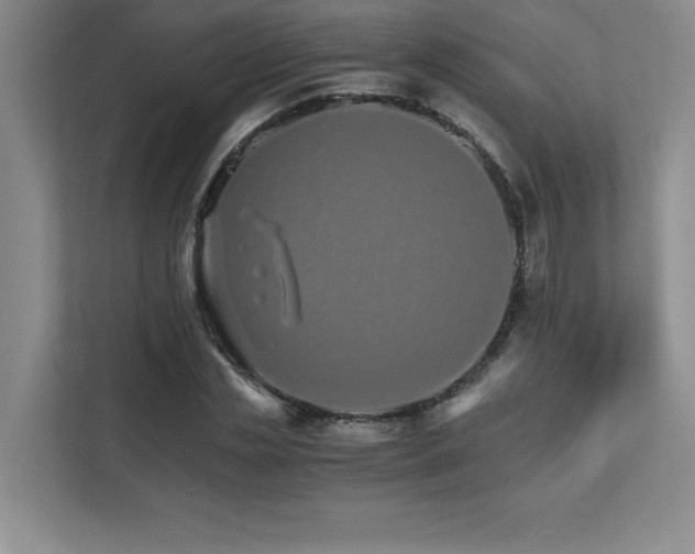 X0000111680829200907171632