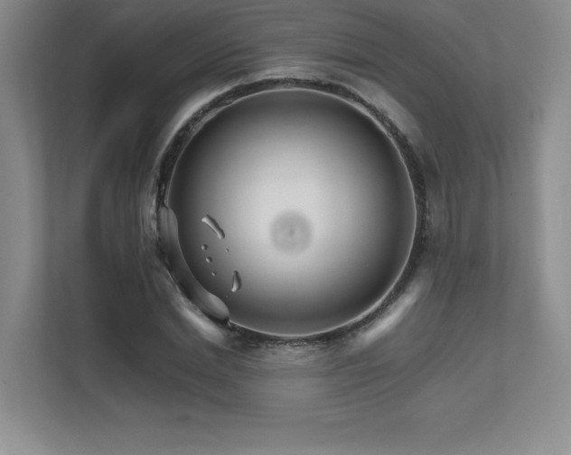 X0000111680830200907171632