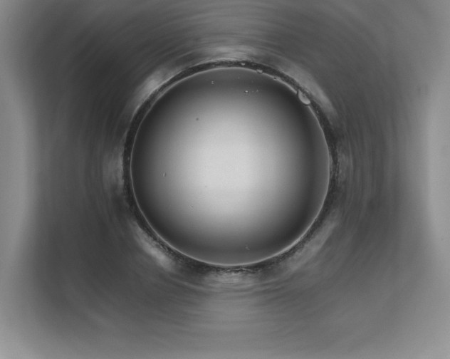 X0000111680834200907171632