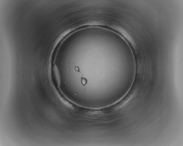 X0000111680837200907171632