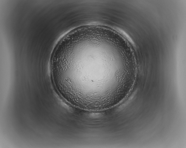 X0000111680839200907171632