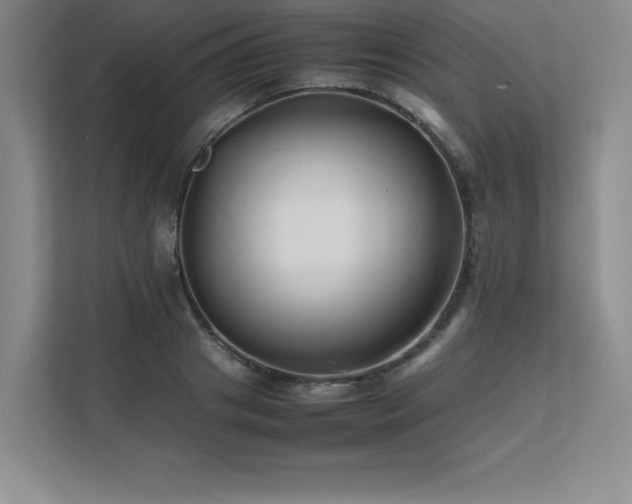 X0000111680841200907171632