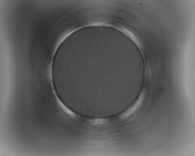 X0000111680847200907171632