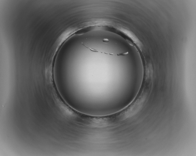 X0000111680850200907171632