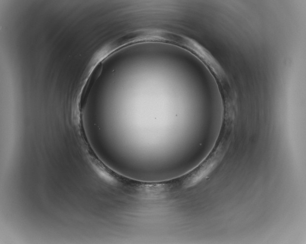 X0000111680858200907171632