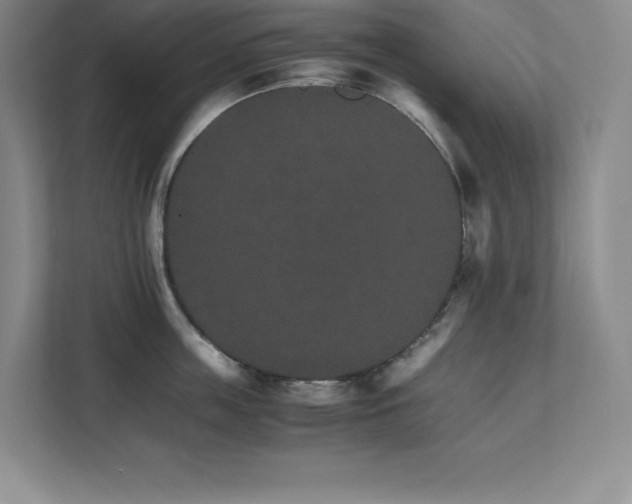 X0000111680859200907171632