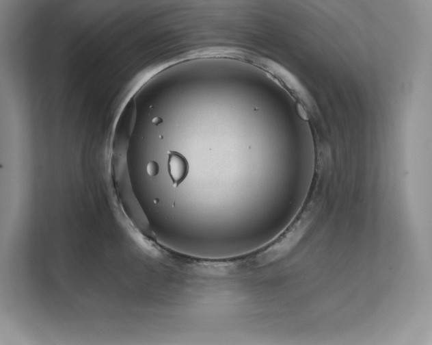 X0000111680860200907171632