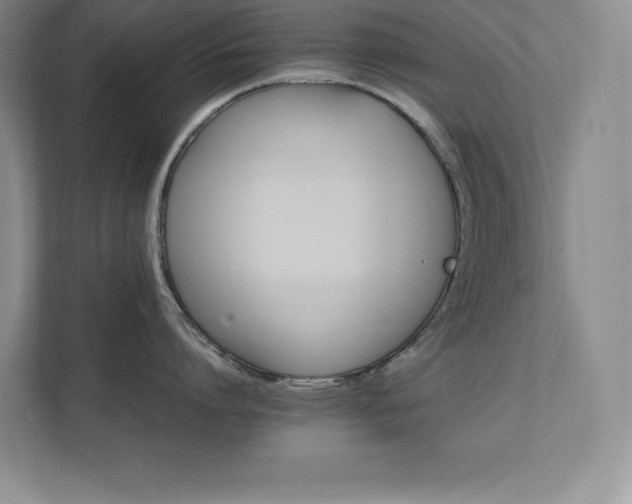 X0000111680864200907171632