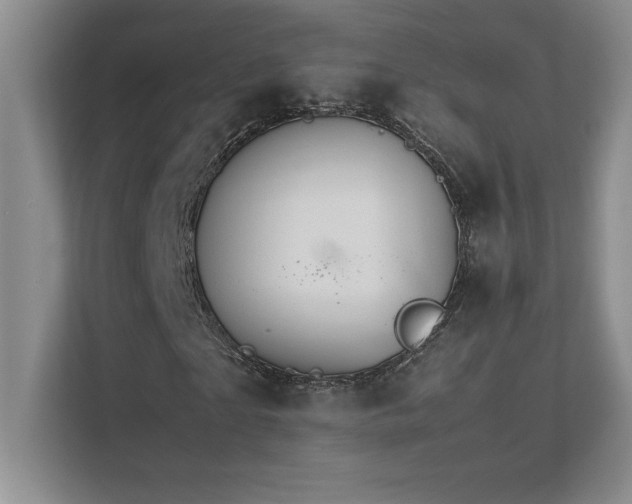 X0000111680865200907171632