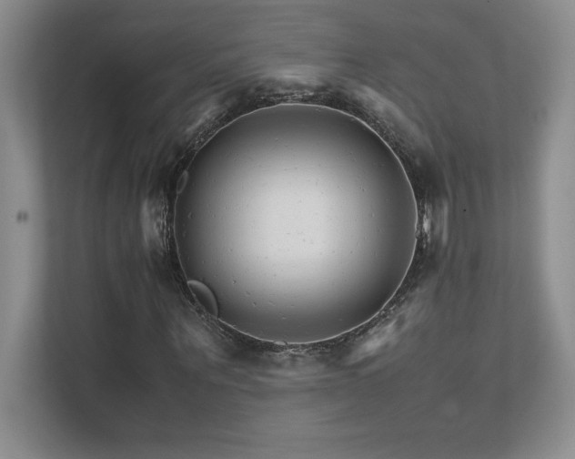 X0000111680867200907171632