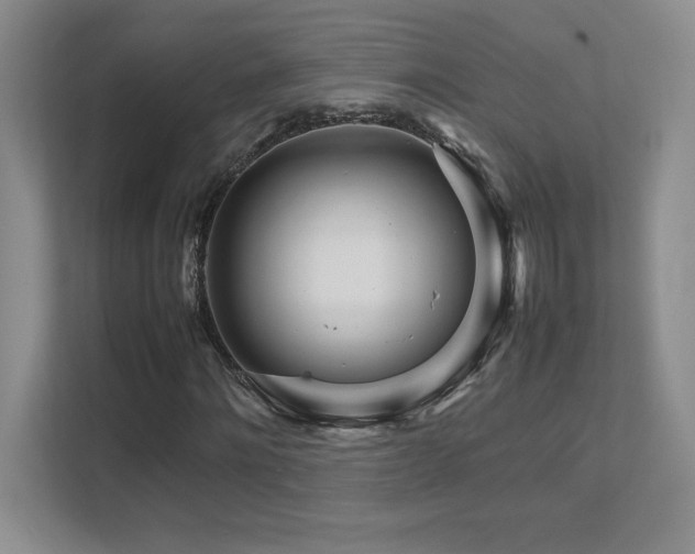 X0000111680868200907171632