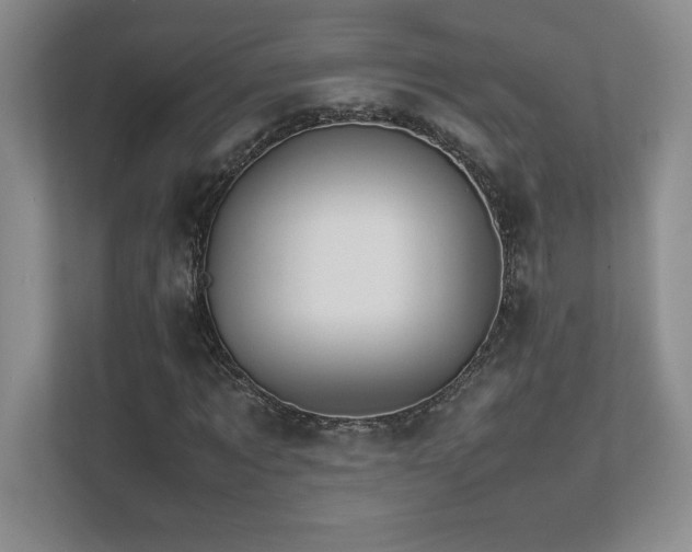 X0000111680869200907171632