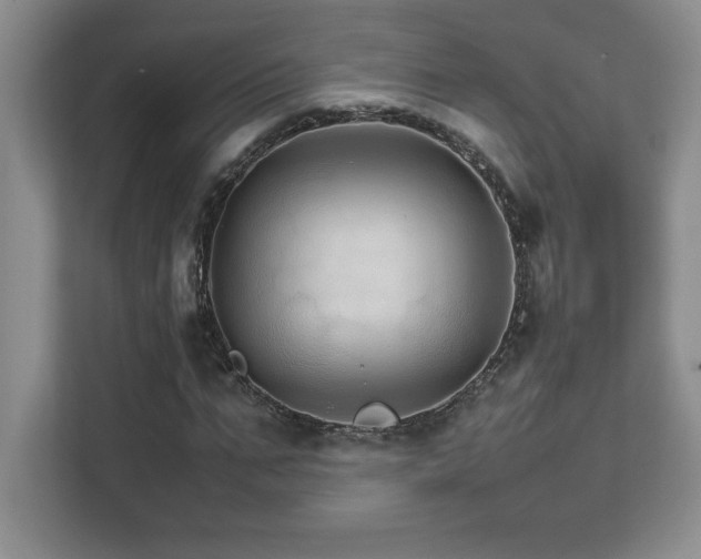 X0000111680871200907171632