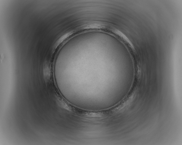 X0000111680874200907171631